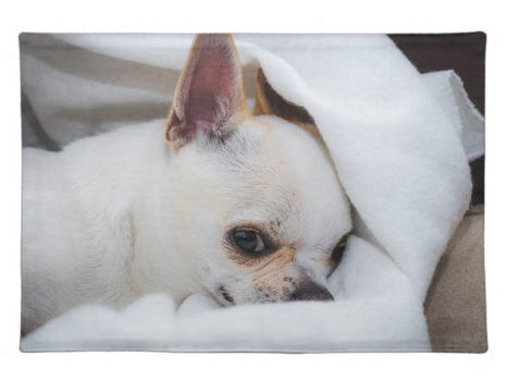 Best Deals! Your pet dog puppy custom photo chihuahua food mat