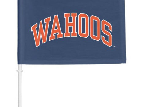 Big Deals! WAHOOS CAR FLAG