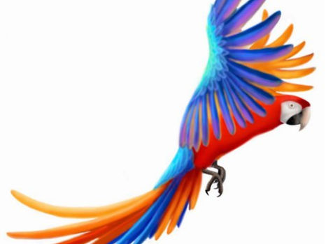 Top 10! Hybrid Catalina Macaw Holiday Ornament