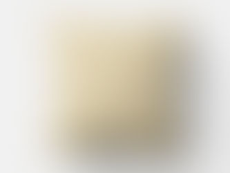 Hot Deals! Butter Cream Color Matched Outdoor Pillow