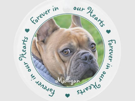 Hot Review! Custom Photo Keepsake Pet Memorial Ornament