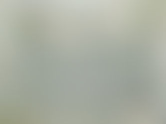 Top 10! Sage Green String Lights Floral Wedding Reception Enclosure Card