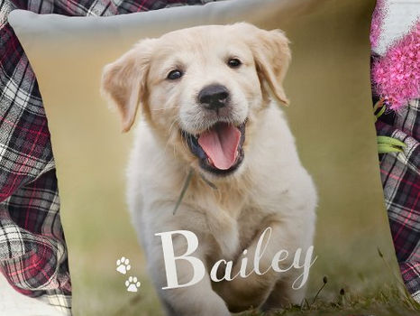 Review Puppy Dog Personalized Pet Golden Retriever Photo Throw Pillow