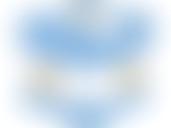 Hot Review! Argentina flag Bandera De Argentina Pouf
