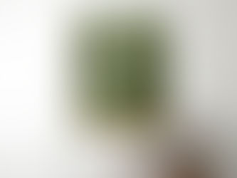 Hot Review! Abstract Rustic Northern Pine Tapestry