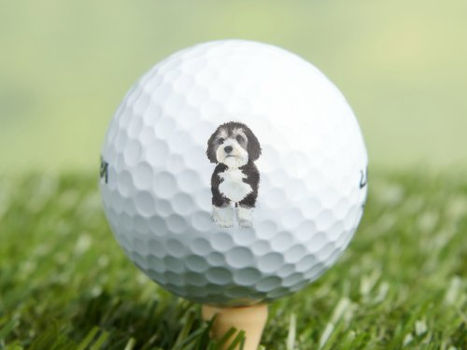 Hot Deals! Personalized Bernedoodle Golf Balls