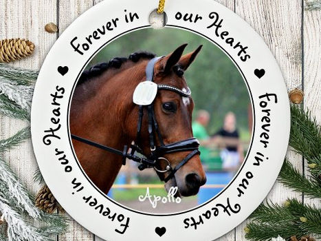 Top 10! Pet Memorial Equestrian Photo Horse Ceramic Ornament