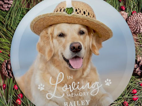 Best Price! In Loving Memory Custom Pet Dog Memorial Photo Glass Ornament
