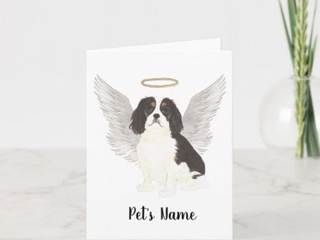 Top 10! Tricolor Cavalier King Charles Spaniel Sympathy Card