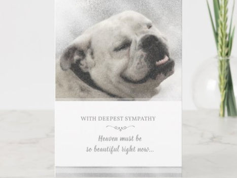 Best Price! Bulldog Sympathy Card - Heaven Must be Beautiful