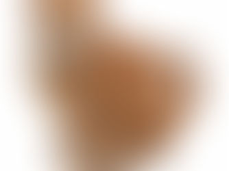 Top 5! Orange Cat Standing Cutout