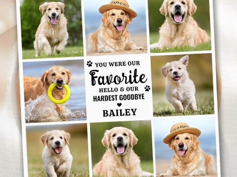 Hot Review! Custom 8 Photo Collage Pet Dog Loss Remembrance Thank You Card