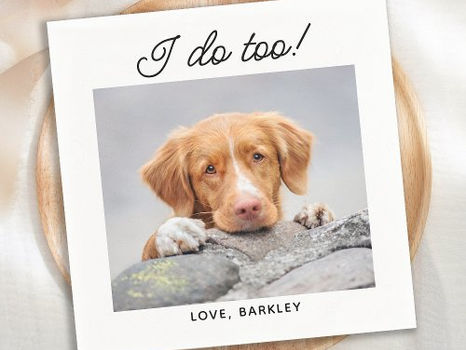Top 5! I Do Too Simple Photo Cute Fun Dog Pet Wedding Napkins