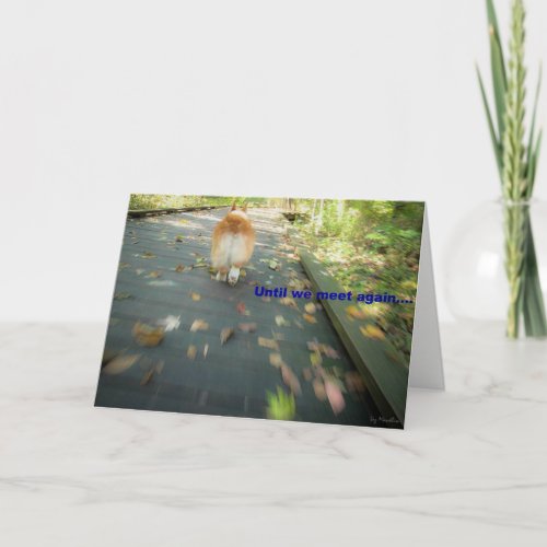 Custom alt text
