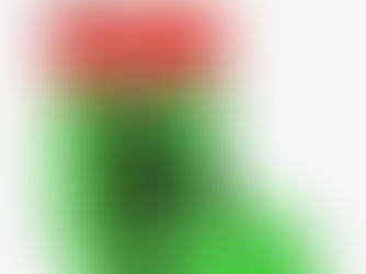 Top 10! PRETTY RED AND GREEN GYMNASTICS CHRISTMAS STOCKING