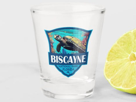 Review Biscayne National Park Turtle Illustration Retro Shot Glass