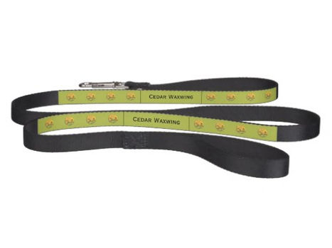 Review Cedar Waxwing Painting - Cute Original Dog Art Pet Pet Leash