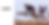 SEND CLEMENTE APPAREL (1).png