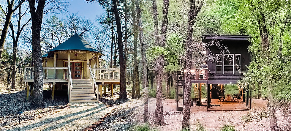 Safari Vs. Treehouse