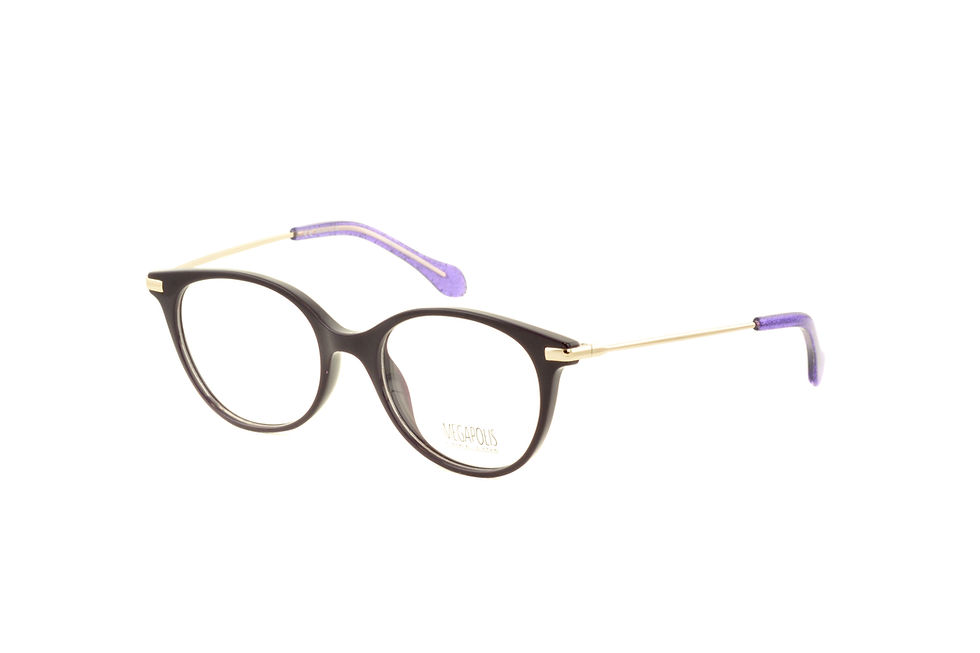 Изображение оправы Megapolis 2109 Purple на фото