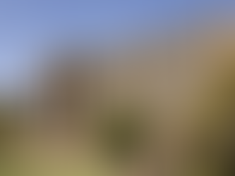 From Concrete to Calabash: Johannesburg’s Civic Evolution in Architecture