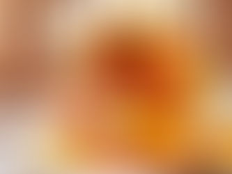 The Kota Chronicles: From Street Snack to Festival Star