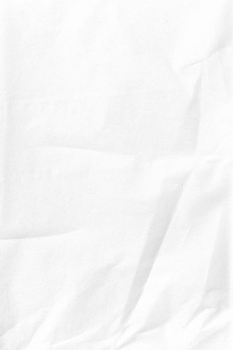 white printer paper with black print_edited.jpg