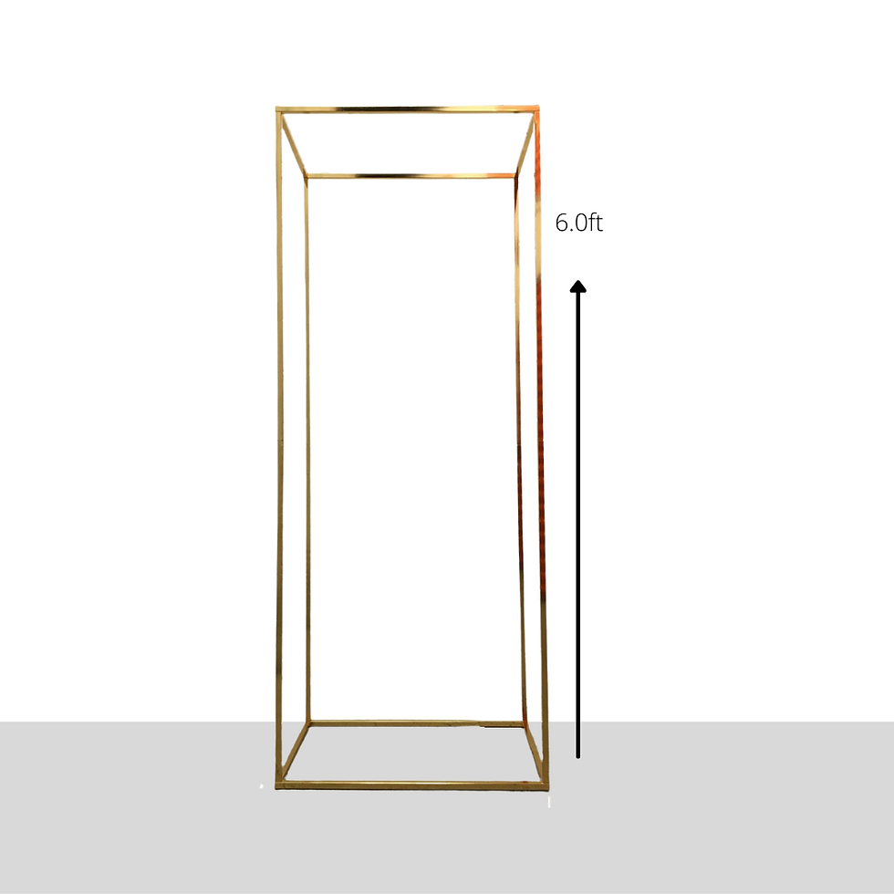 Frame Backdrop Stand 6ft - GLD $200