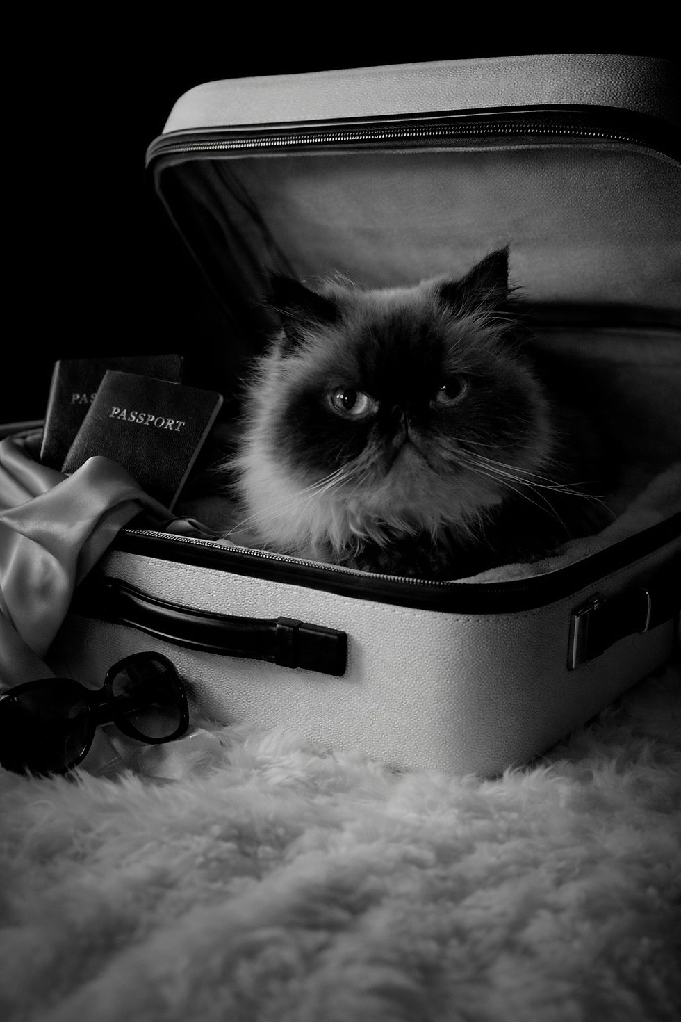 Pet-friendly o Dog-friendly: qué significa realmente viajar con mascota en hoteles de lujo.