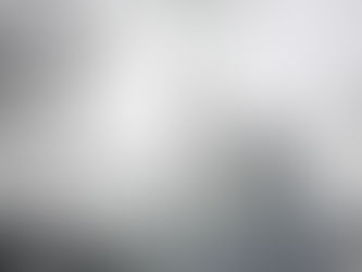 Alpes bávaros, Selva Negra y Baden Baden