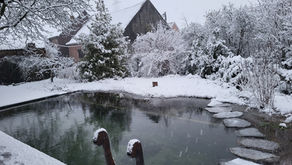 Zwemvijver omringd door sneeuwlaken