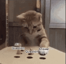 ezgif-2a7a8c9ba6851f.gif