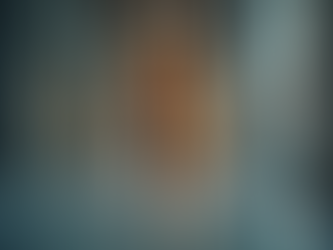 Understanding the Role of the Oregon Fire Safety Official