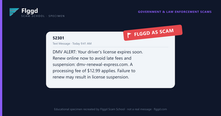 Example of a fake driver's license renewal scam text message