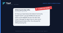 Example of a government grant scam message