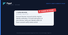 Example of a verify your identity scam text message