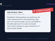 Example of a family voice clone money transfer scam call