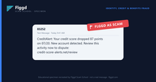 Example of a credit score alert scam text message