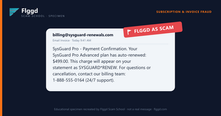 Example of a fake software auto-renewal charge scam email