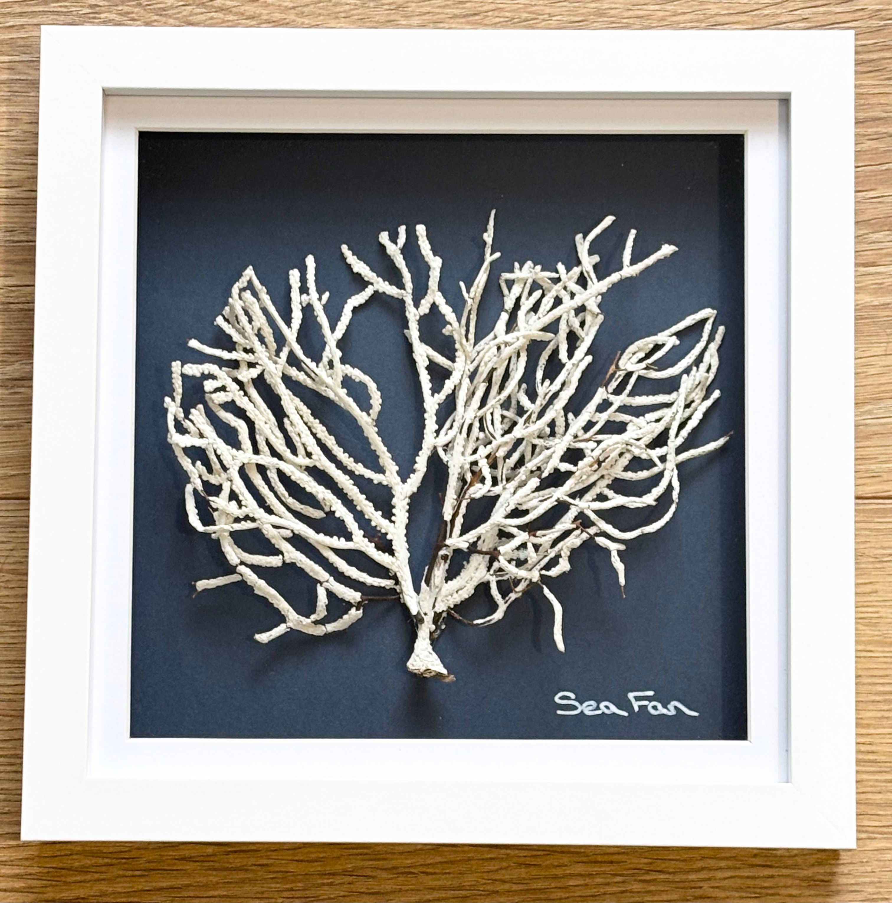 Handmade Natural Sea Fan Artwork