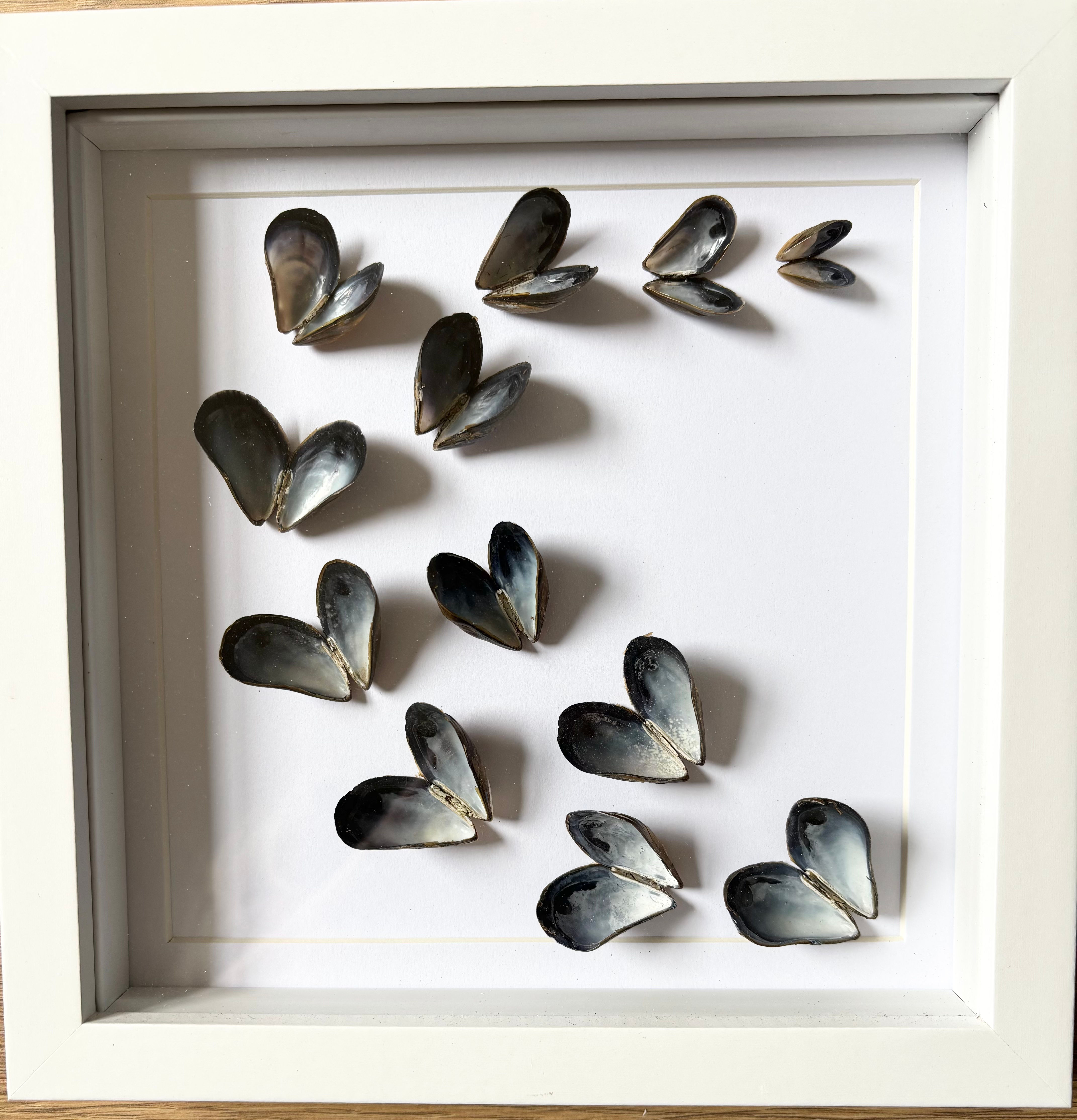 Mussel Shell Butterfly Artwork