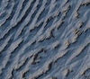 Nous vous proposons un cuir de requin rare et prestigieux, au grain naturellement bicolore et à l’aspect texturé saisissant. Ce cuir est particulièrement prisé dans le domaine du luxe pour sa personnalité affirmée, conférant à chaque pièce un caractère audacieux et résolument unique.
Sa robustesse incomparable en fait un matériau idéal pour la réalisation de créations haut de gamme : portefeuilles, bracelets de montre... Au fil du temps, il se patine subtilement, offrant un témoignage vivant de l’authenticité et de la qualité de votre maroquinerie.
Nos peaux proviennent exclusivement de France et sont rigoureusement certifiées CITES, gage de légalité et de respect des espèces. En optant pour ce cuir de requin, vous choisissez l’exclusivité, la durabilité et la singularité. Sublimez vos créations grâce à ce cuir hors norme, alliant exotisme et élégance intemporelle.