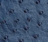 Reconnu pour sa texture unique et son raffinement incomparable. Notre cuir d’autruche d’exception, issu d’élevages français respectueux de l’environnement, se distingue par ses follicules perlés, vestiges des plumes, qui confèrent à chaque pièce une signature visuelle singulière et élégante.
Apprécié pour sa souplesse et sa durabilité, le cuir d’autruche offre une résistance naturelle aux craquelures et développe une patine noble avec le temps, témoignant de la vie de l’objet. Sa capacité à être teinté dans une large palette de couleurs tout en conservant sa texture distinctive en fait un choix privilégié pour des créations sur mesure alliant esthétique et fonctionnalité.
En choisissant le cuir d’autruche, vous optez pour un matériau noble, éthique et durable, qui sublimera vos créations par son caractère unique et son élégance intemporelle.