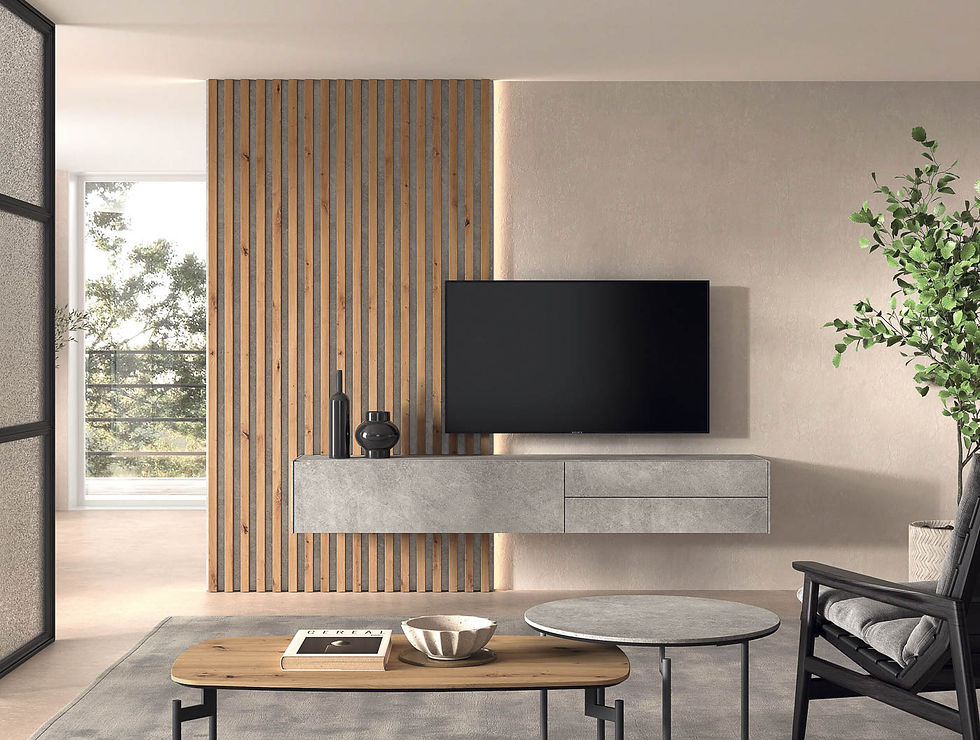 Regal salones panelados 2024 11