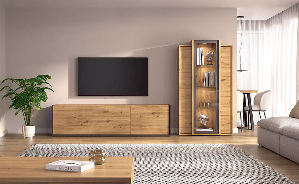 Mueble de salón New Duo 25