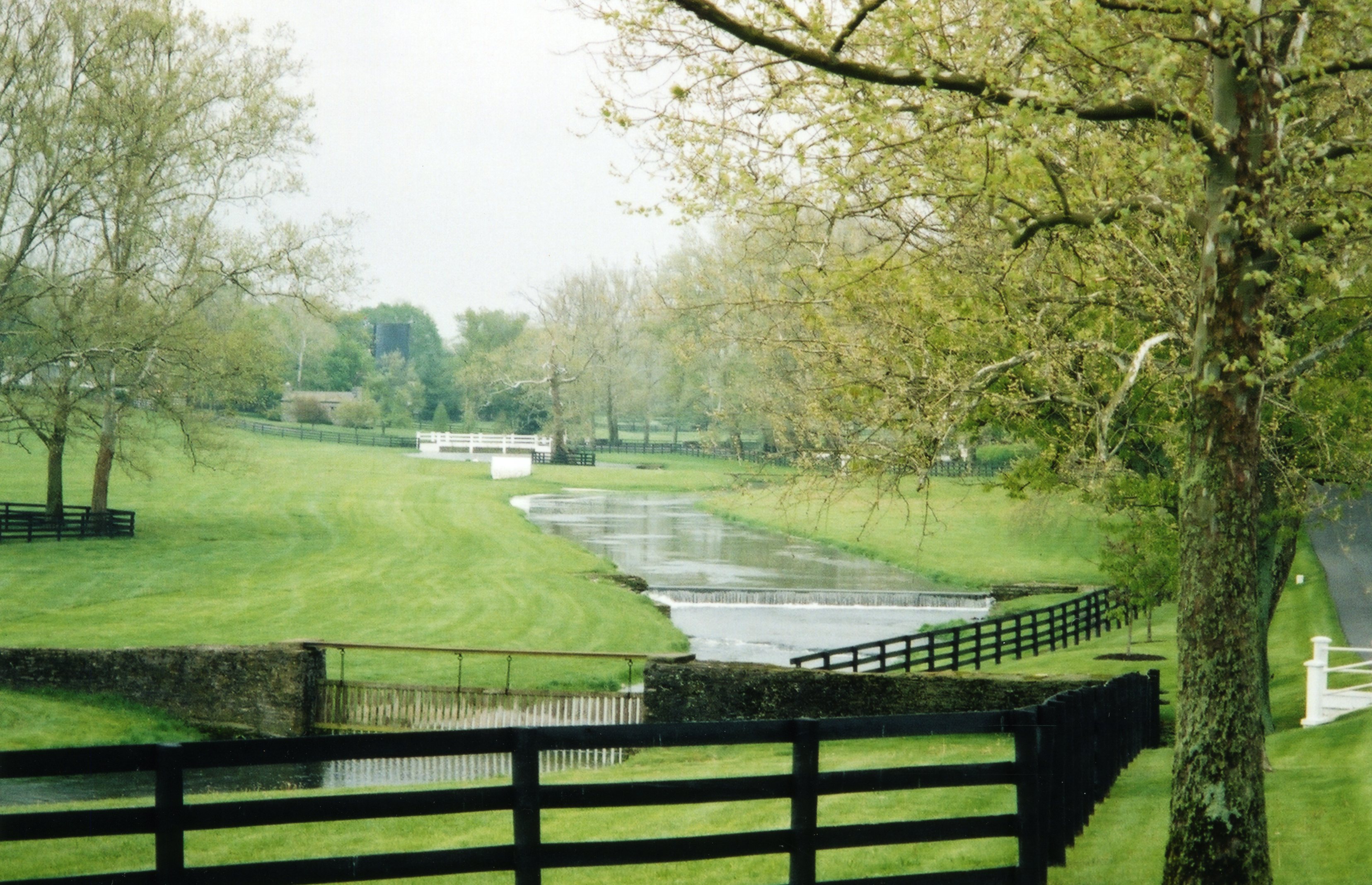Claiborne Farm, May 2004