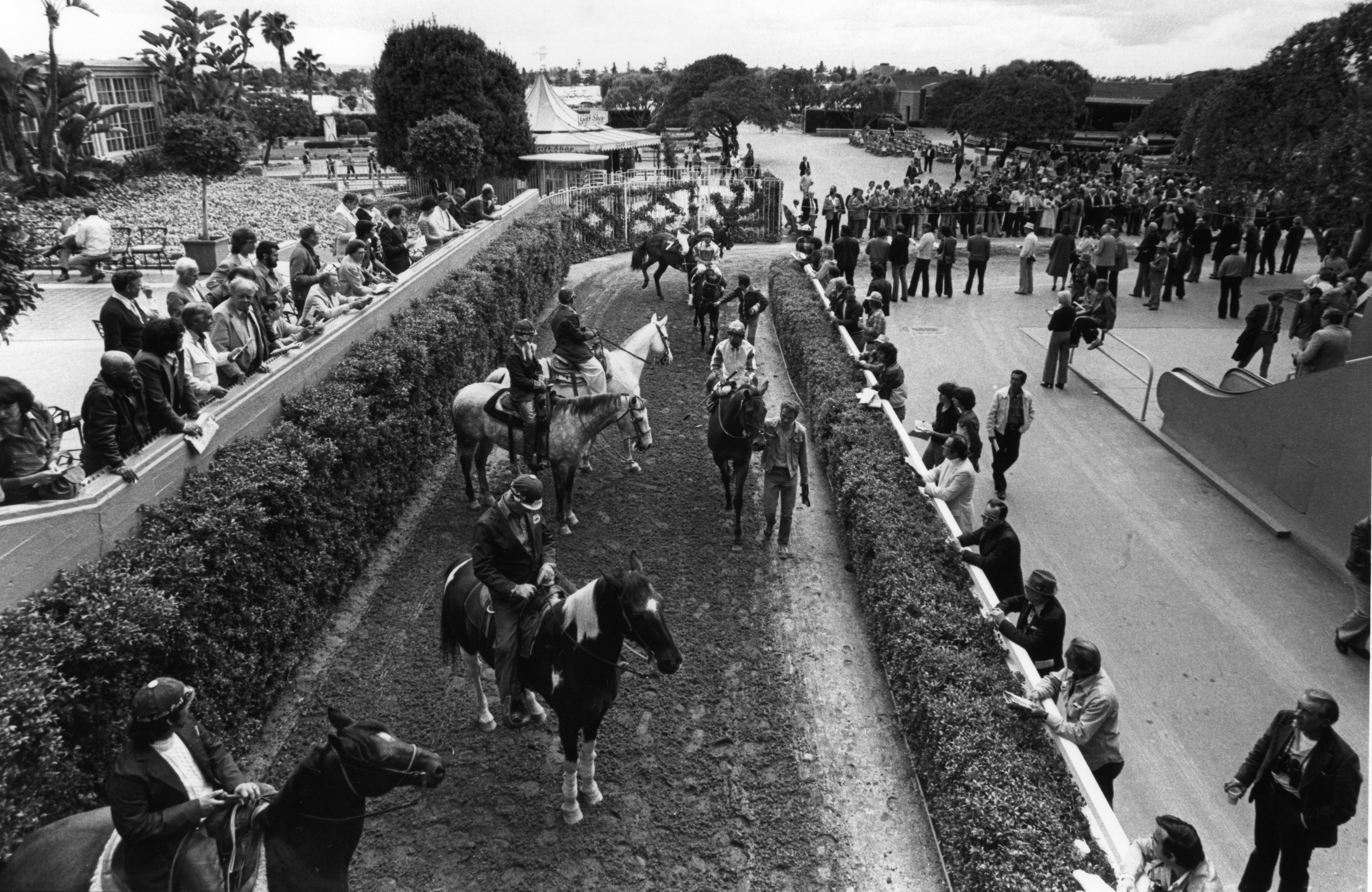 Santa Anita Park
