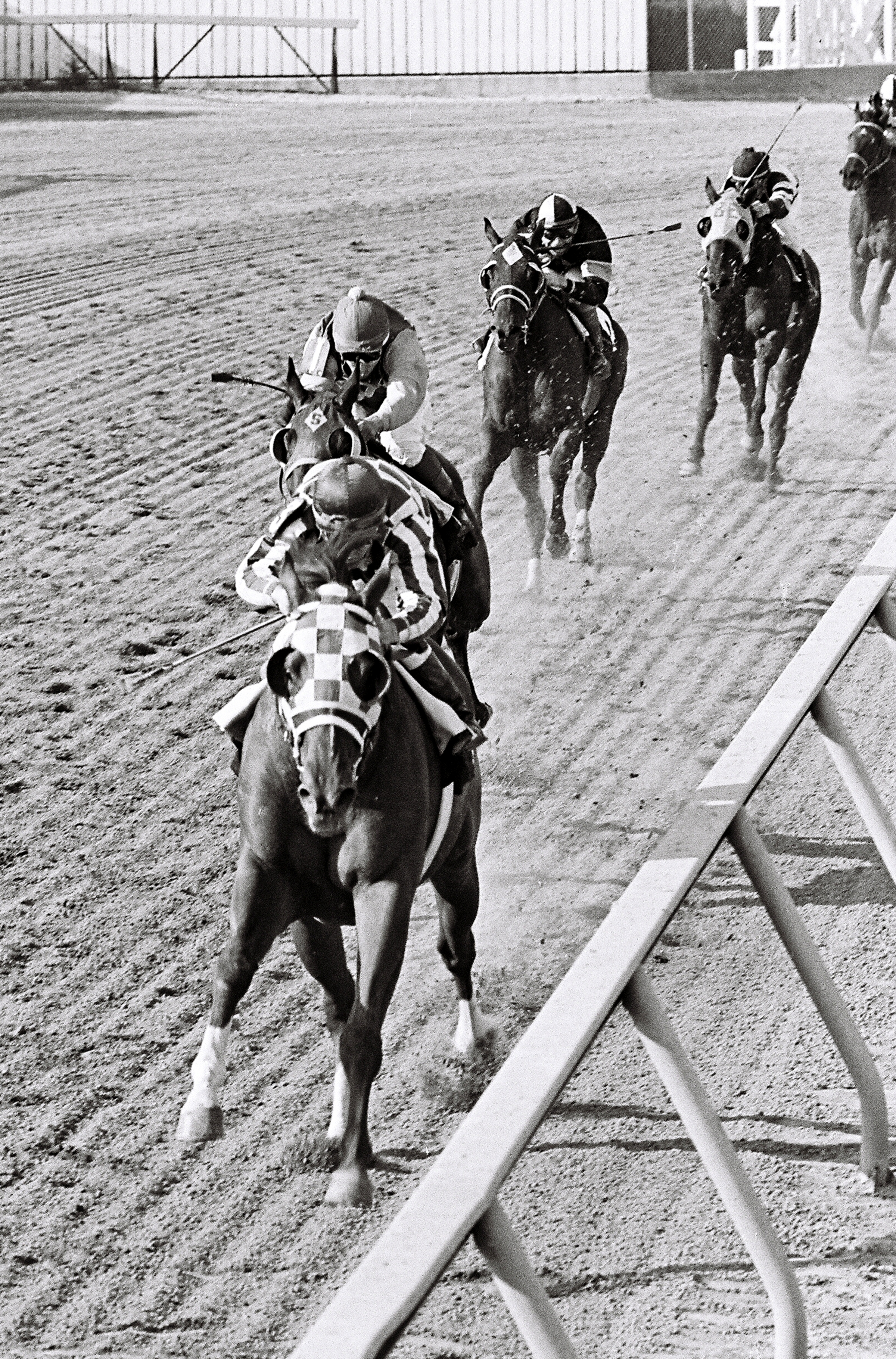 Preakness Stakes