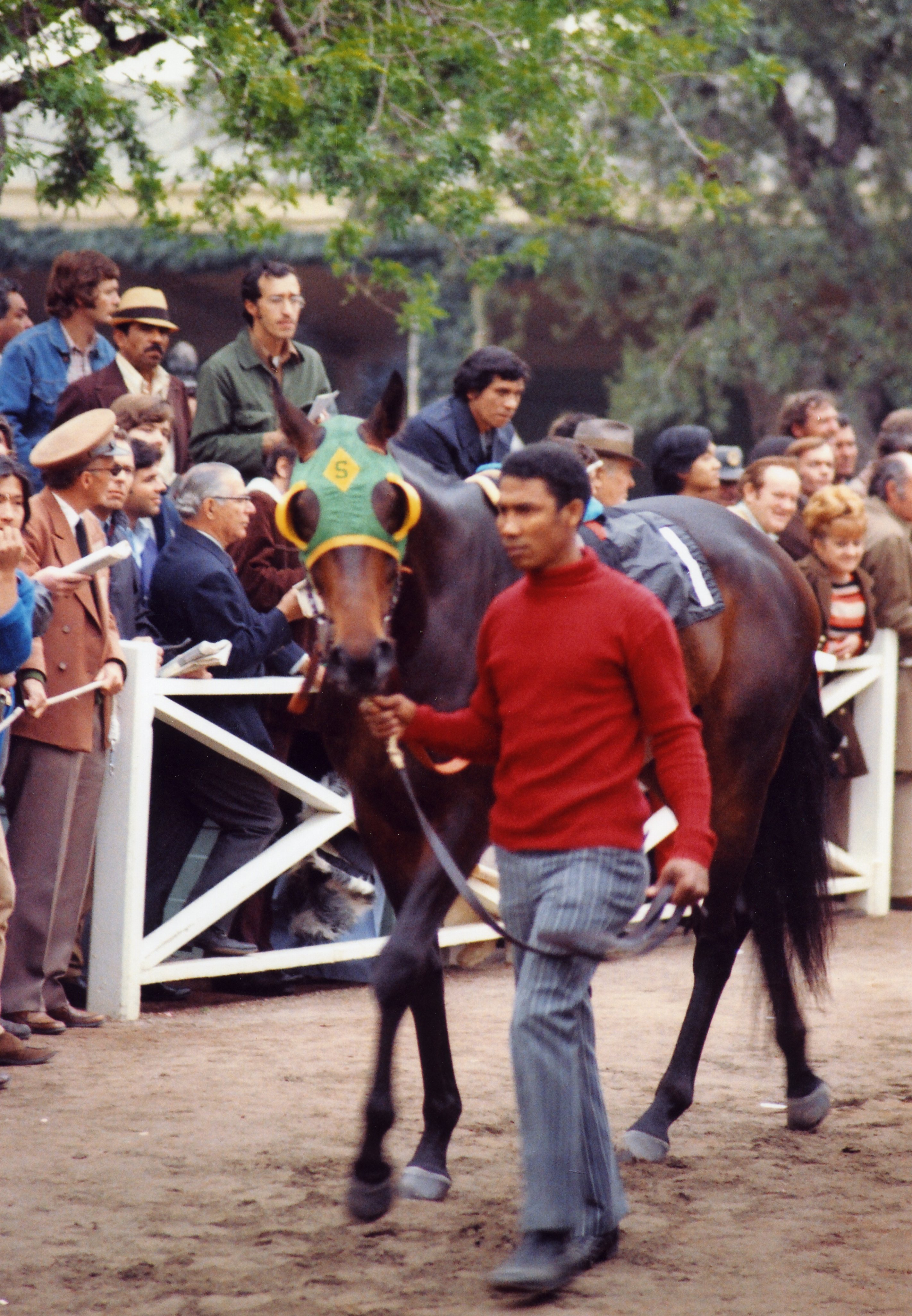 Santa Anita
