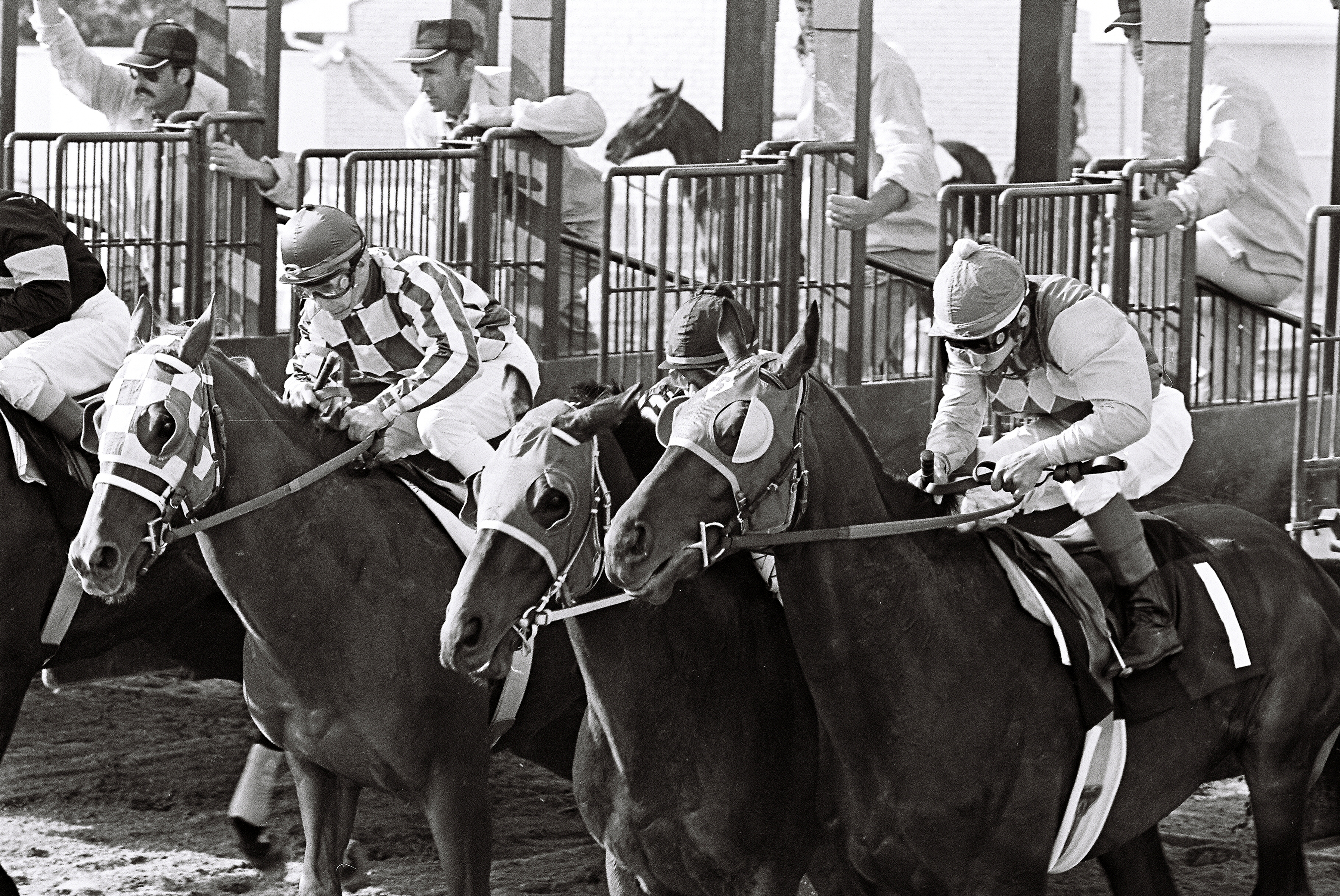 Preakness Stakes